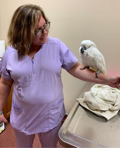 Animal Hospital of Monticello team with bird