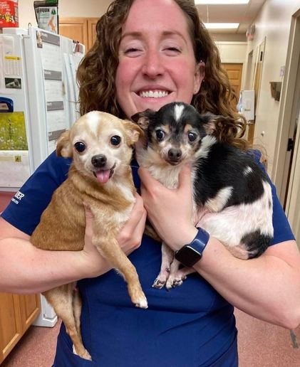 Animal Hospital of Monticello team with two dogs